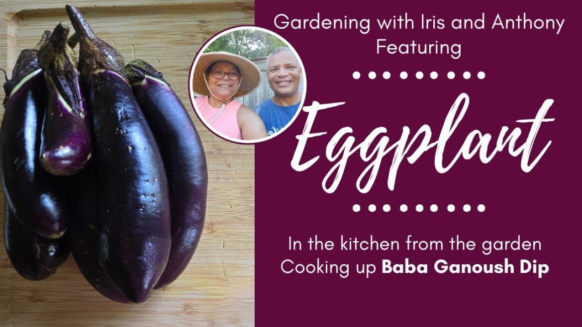 Homemade Baba Ganoush Recipe | Fresh Eggplant From Our Garden (Easy & Delicious)