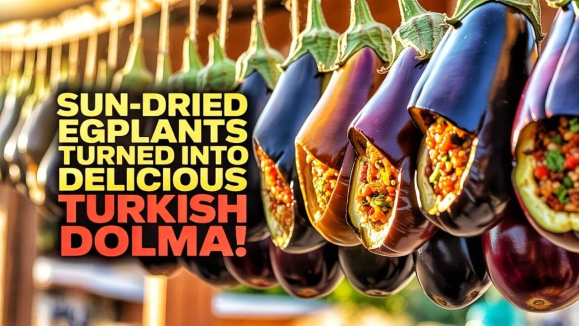 The Ancient Turkish Dolma: Sun-Dried Eggplants & Traditional Stuffed Recipe .