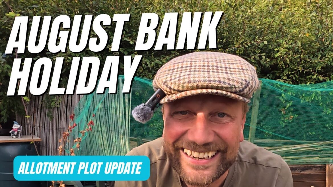Allotment Plot Vegetable Garden Update August Bank Holiday 2025