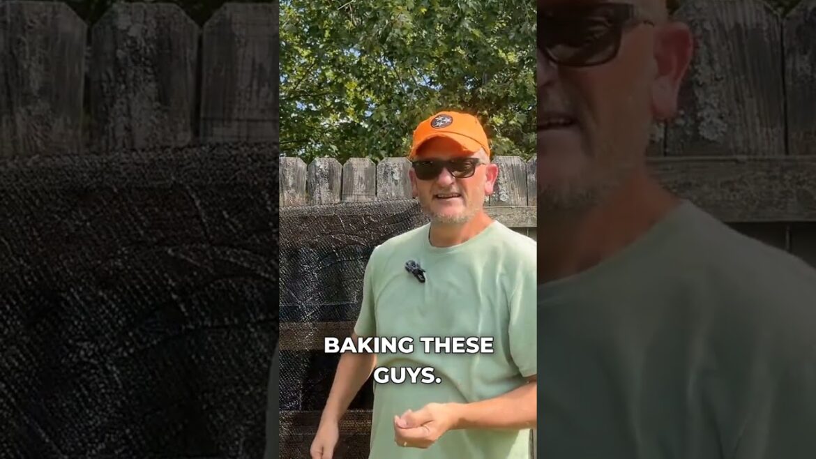 Best way to keep fall crops cool! #vegetablegardening #garden #veggieslover