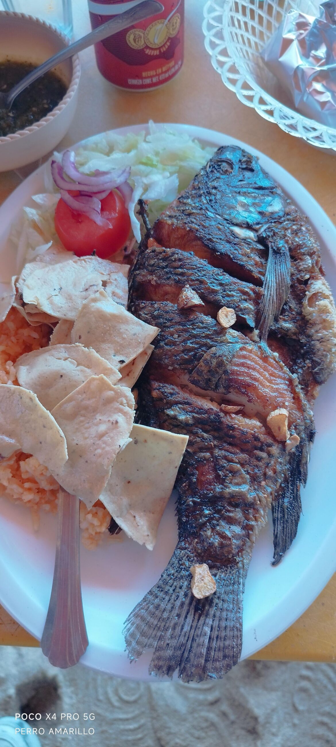 Majorra al ajo, restaurante pelicanos, puerto Márquez acapulco