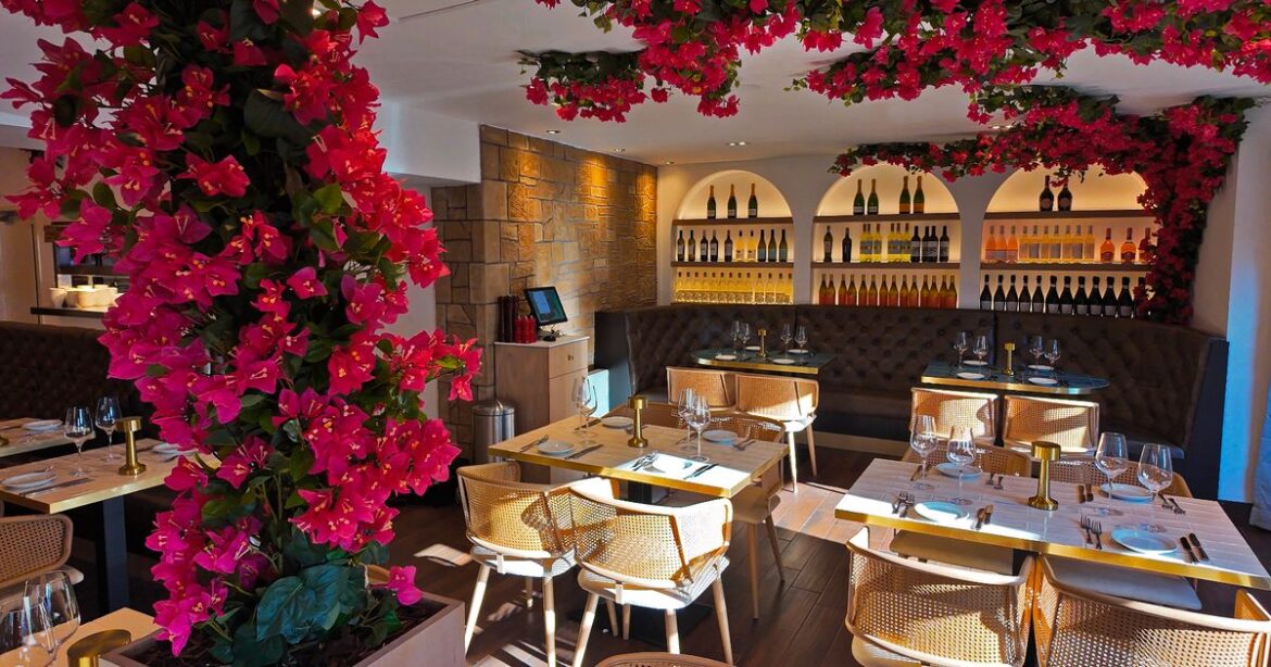 New Italian restaurant opening doors in Hamilton Ipso logo