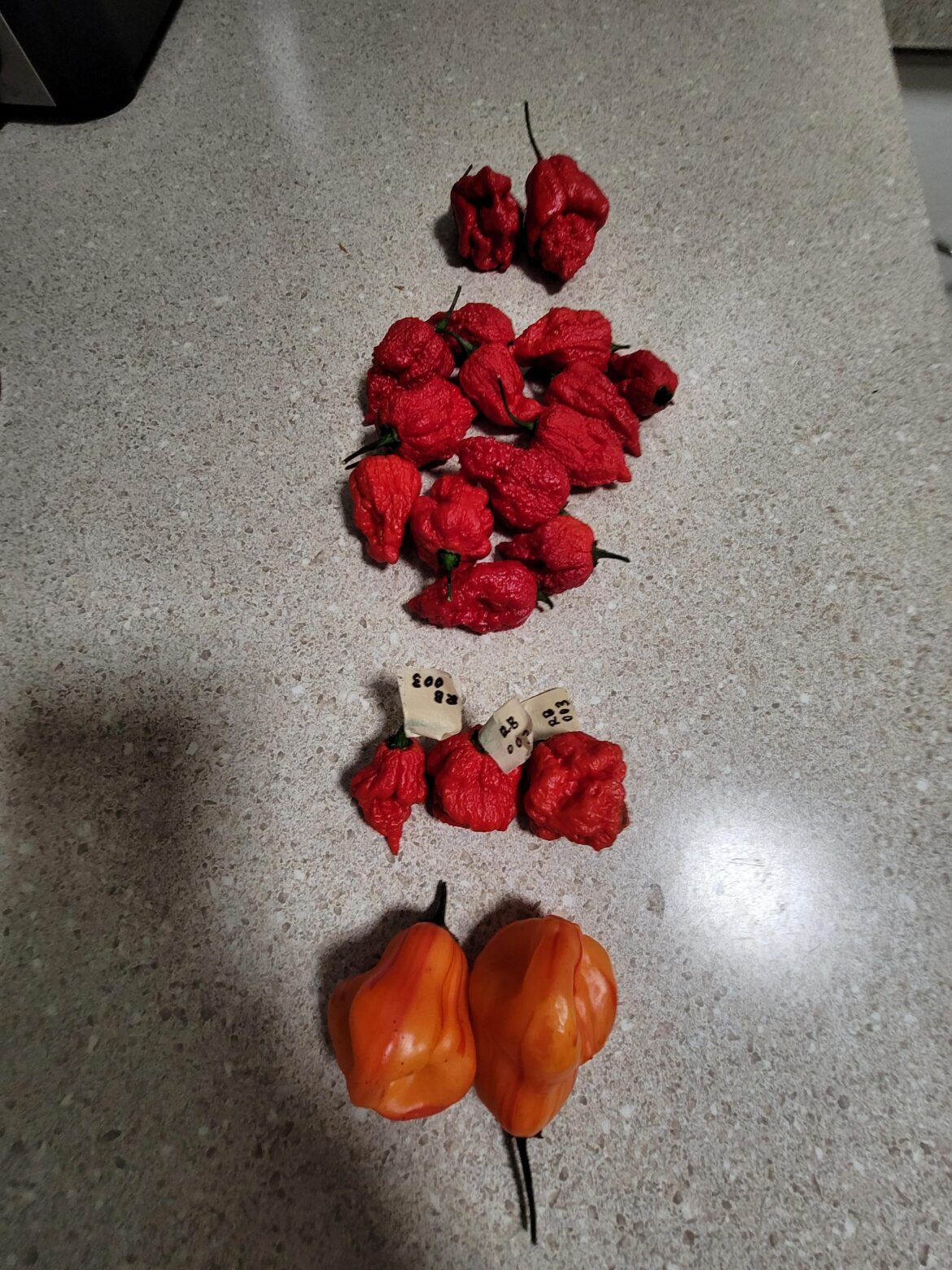 Thanks Technical-Assist for the spread. It's like Christmas