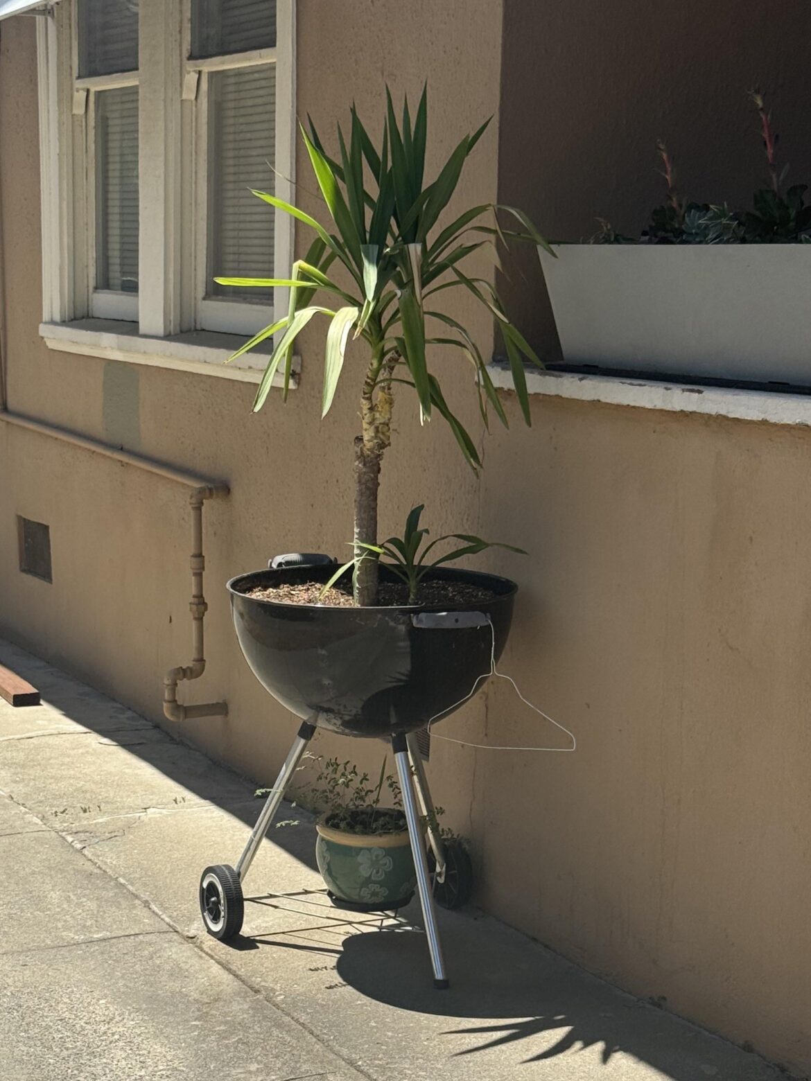 Is this how vegans grill?