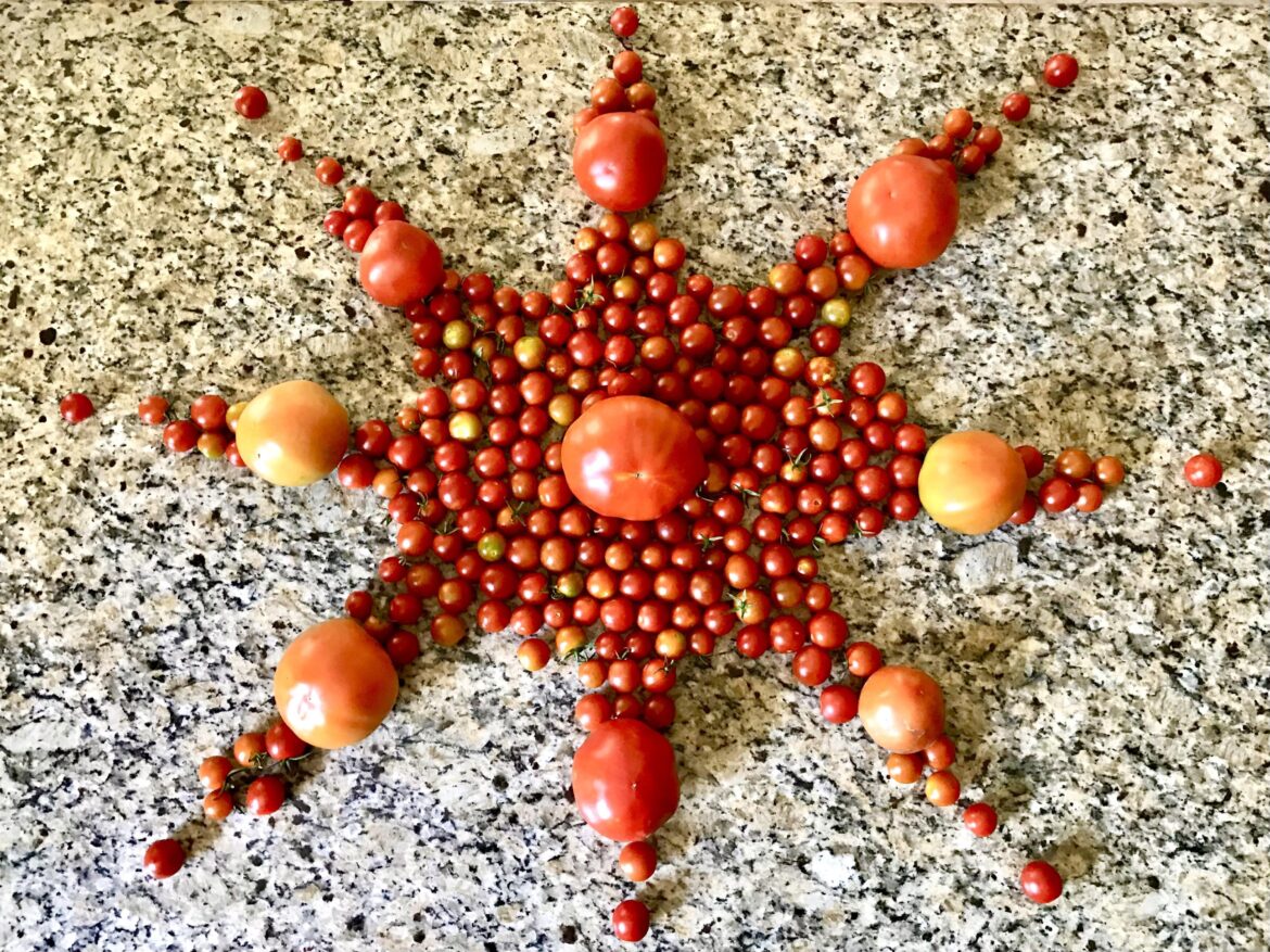 My first haul from July