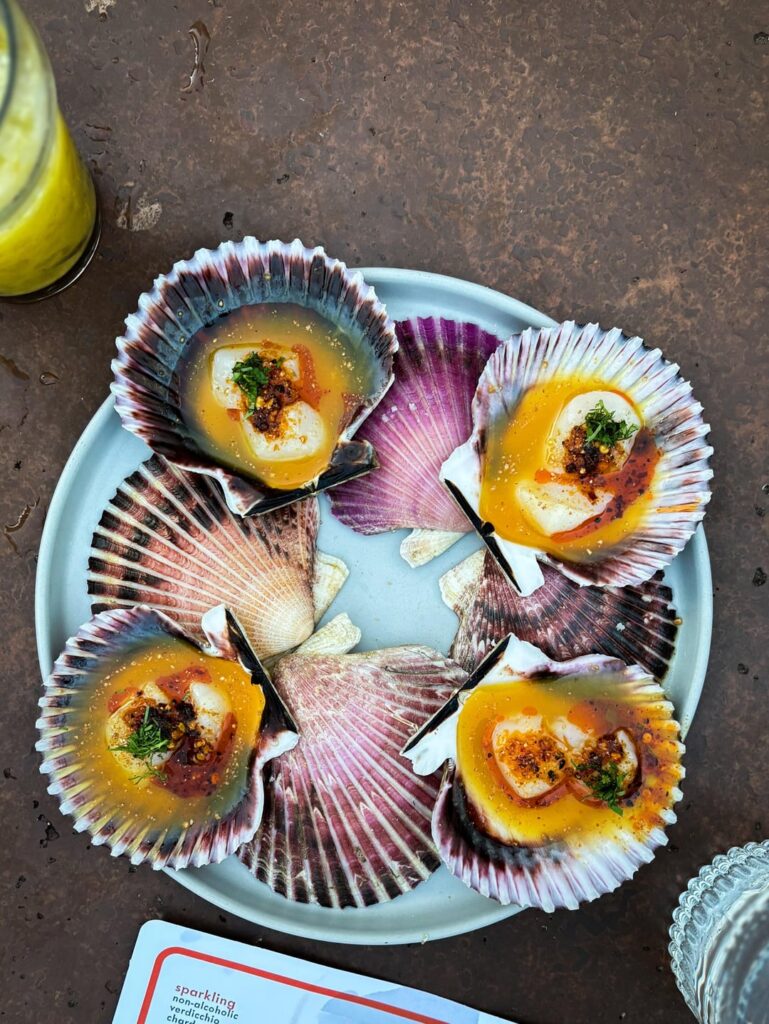 Saffys - Easy Hollywood