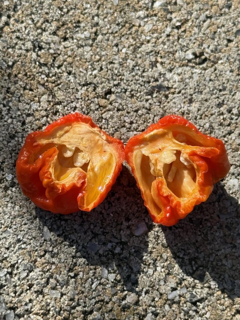 I just know this one’s going to hurt 🤯😭