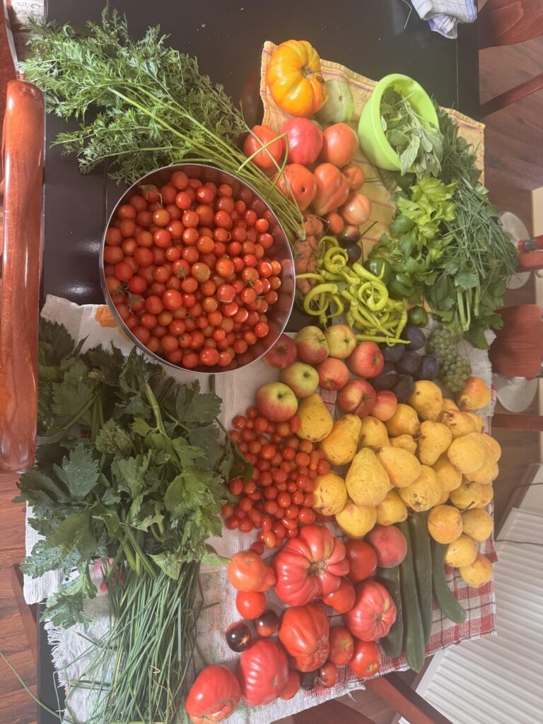 Mine and my grandmas harvest this year!