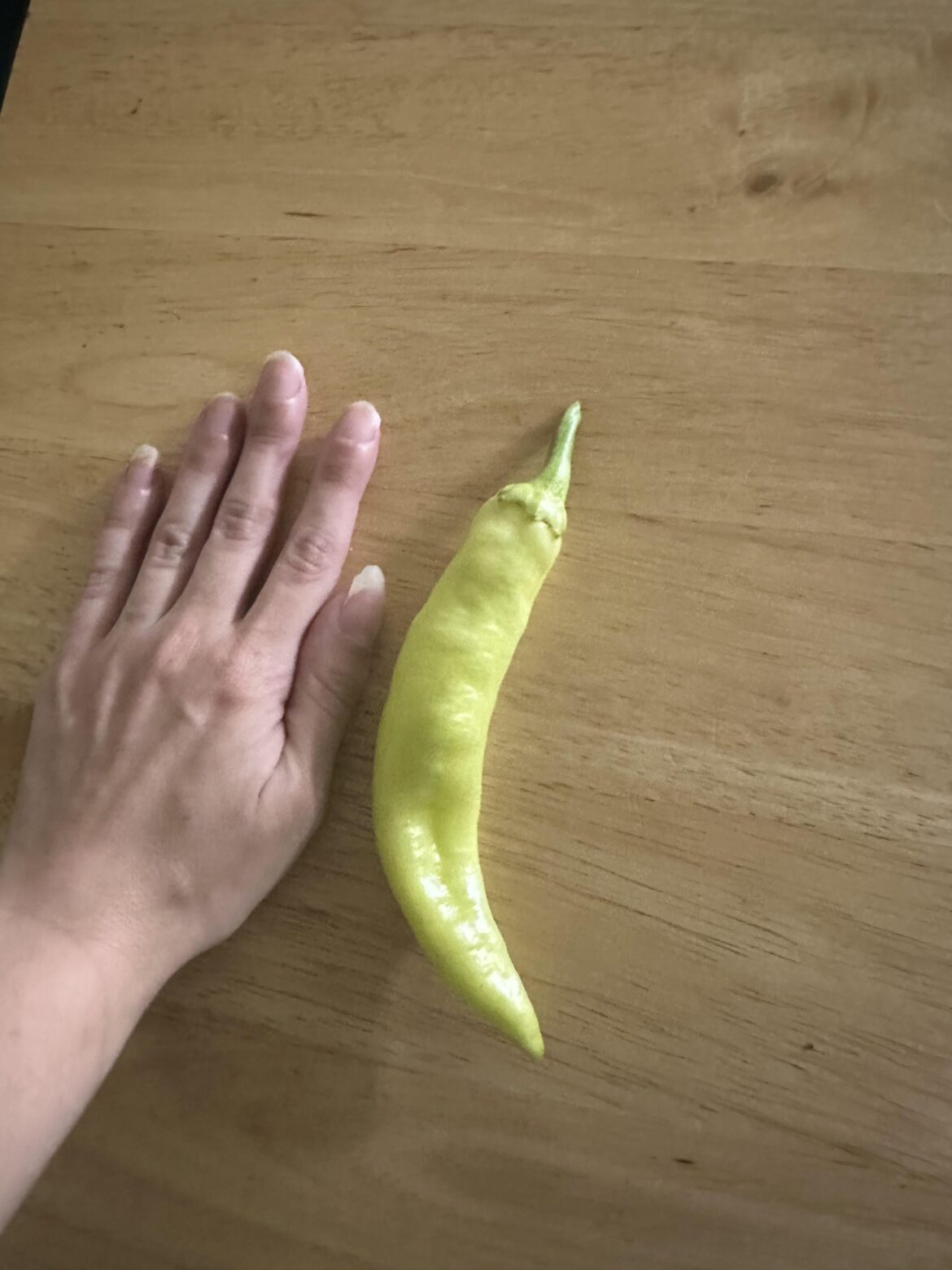 My very first banana pepper!