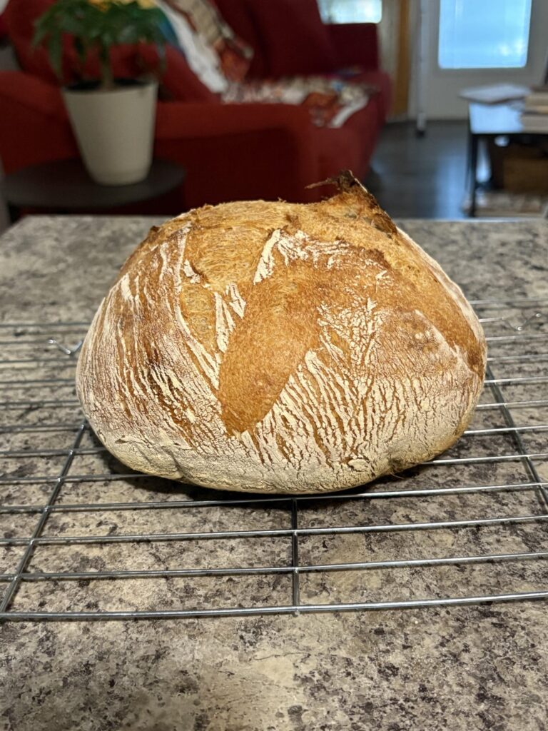 Y’all, please don’t drag me lol. What went wrong?