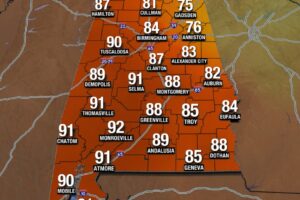 Record Cool Maximum and Rainfall at Anniston