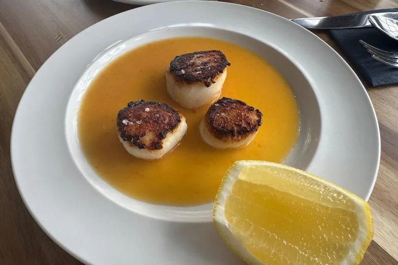One of the specials - scallops in a tomato butter sauce