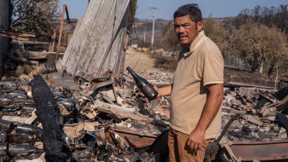 our wine will taste of smoke, says family who lost it all our wine will taste of smoke, says family who lost it all