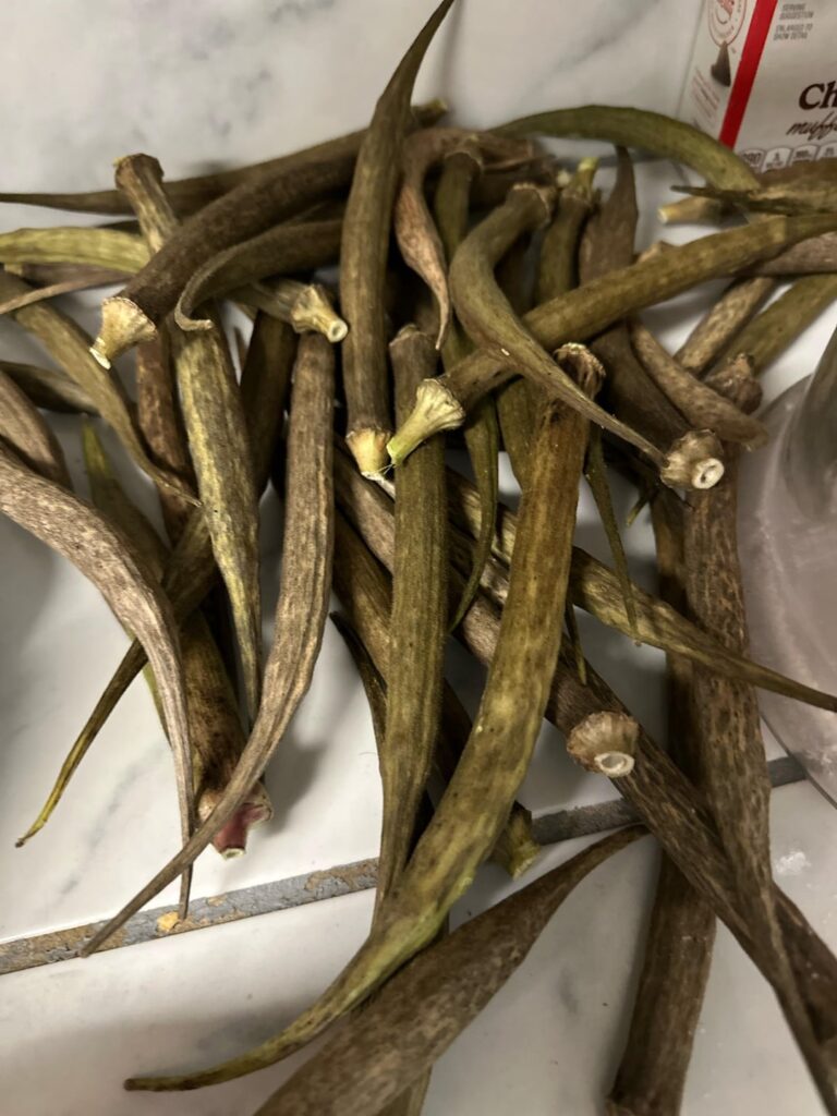 How to save and store seeds til next year?