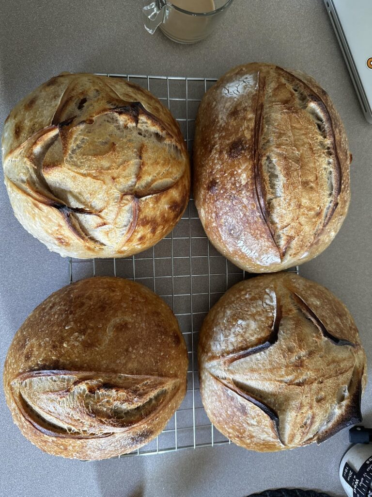 Best loaves so far