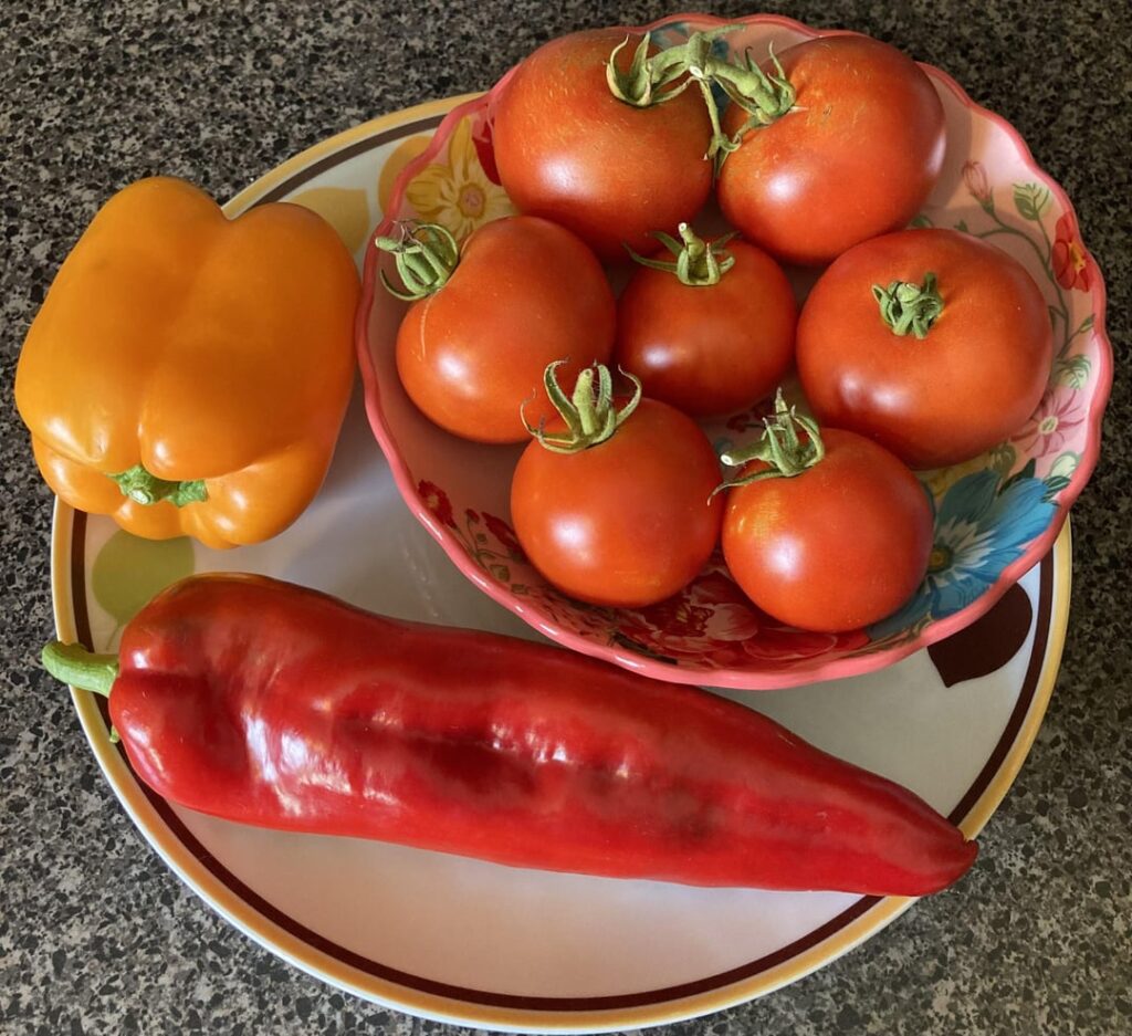 First time having a real harvest ☺️