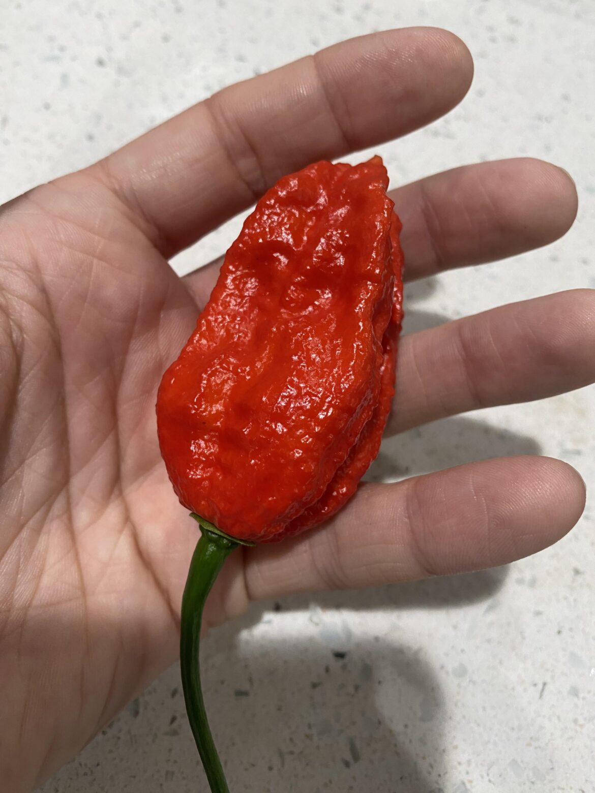 Ghosts this year are way bumpier than previous years - hopefully translates to heat