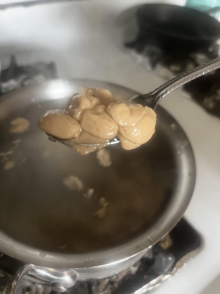 My older sister’s attempt at homemade boba… ya’ll want some?? 😍