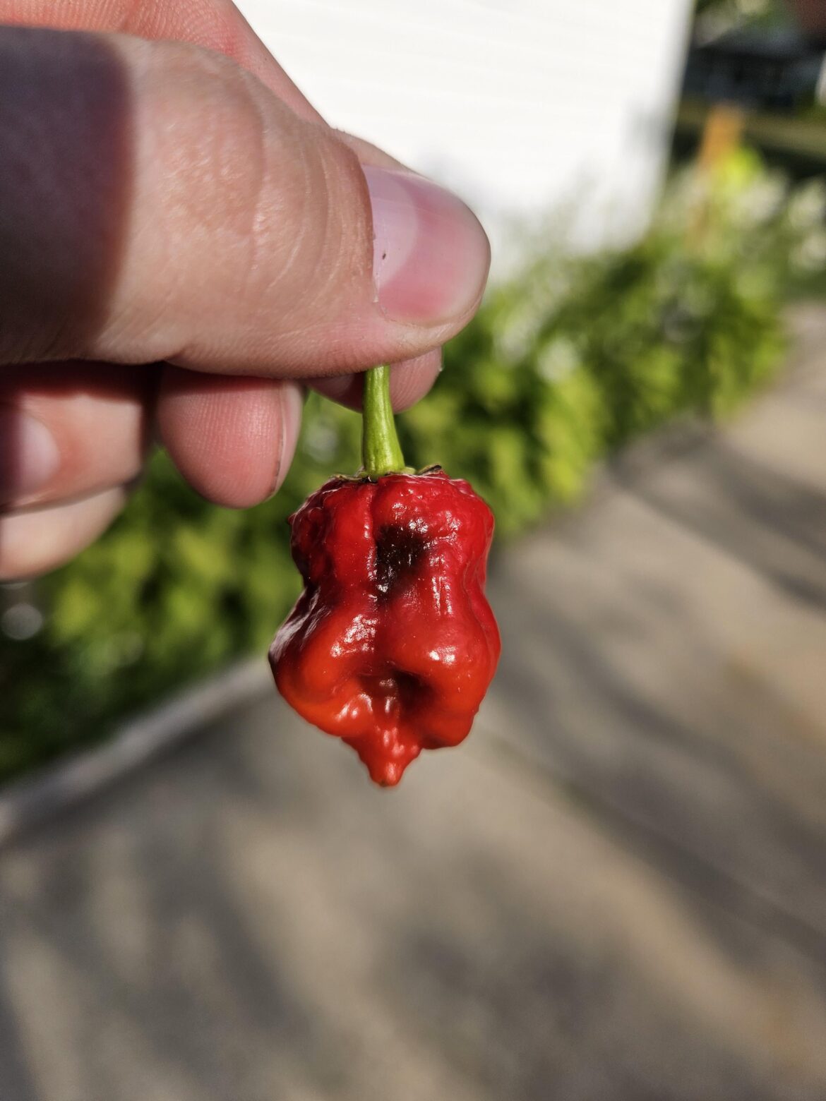 What is this dark spot?