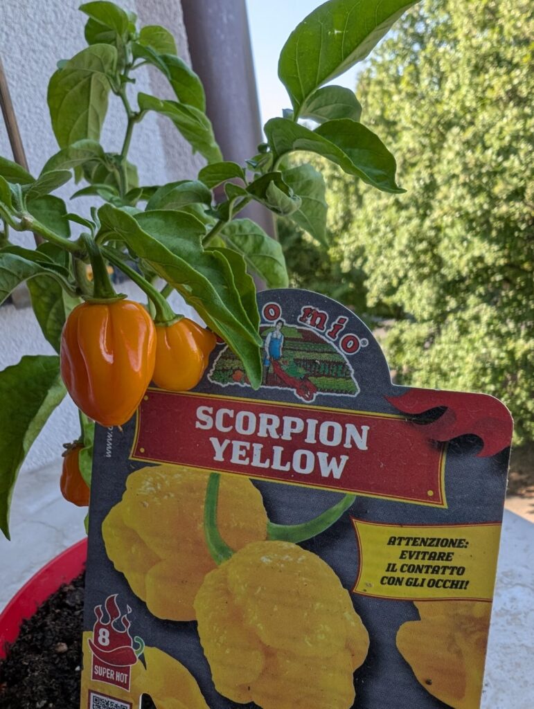 What is it really? What is it really?