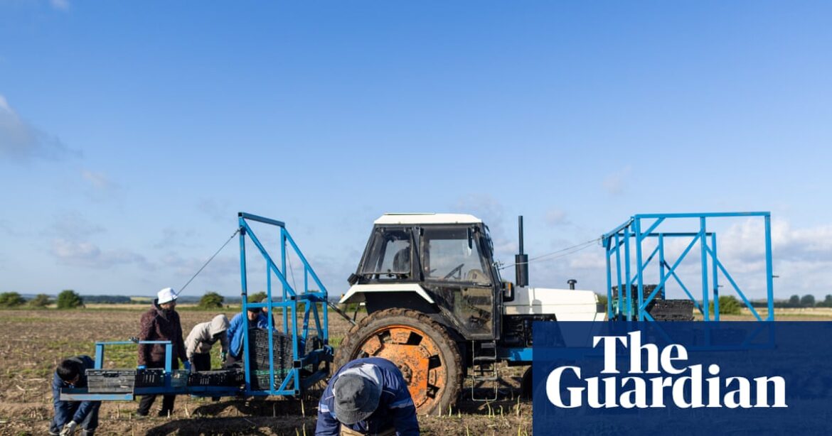 Tuesday briefing: How ‘climateflation’ is pushing food prices ever higher – and changing how we eat | Climate crisis