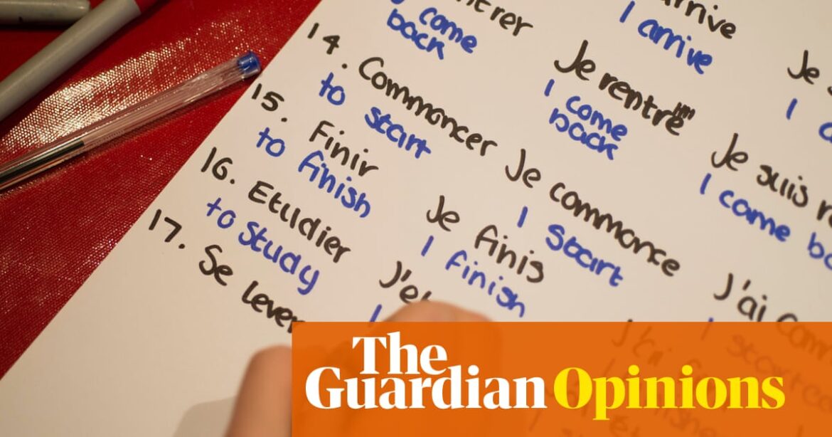 Mind your language: how learning French helped me remove the condom from the wine | Susan McDonald Mind your language: how learning French helped me remove the condom from the wine | Susan McDonald