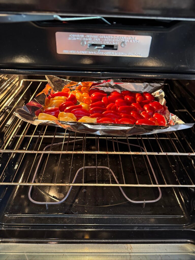 Habanero salsa with tomatoes and peppers from my garden