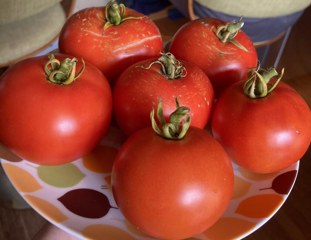 Best tomato soup i’ve ever had 😍 Best tomato soup i’ve ever had 😍