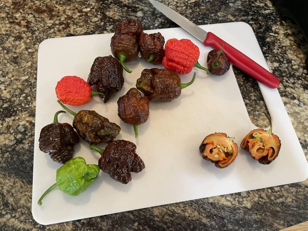 Very small batch of sauce from my first peppers of the year