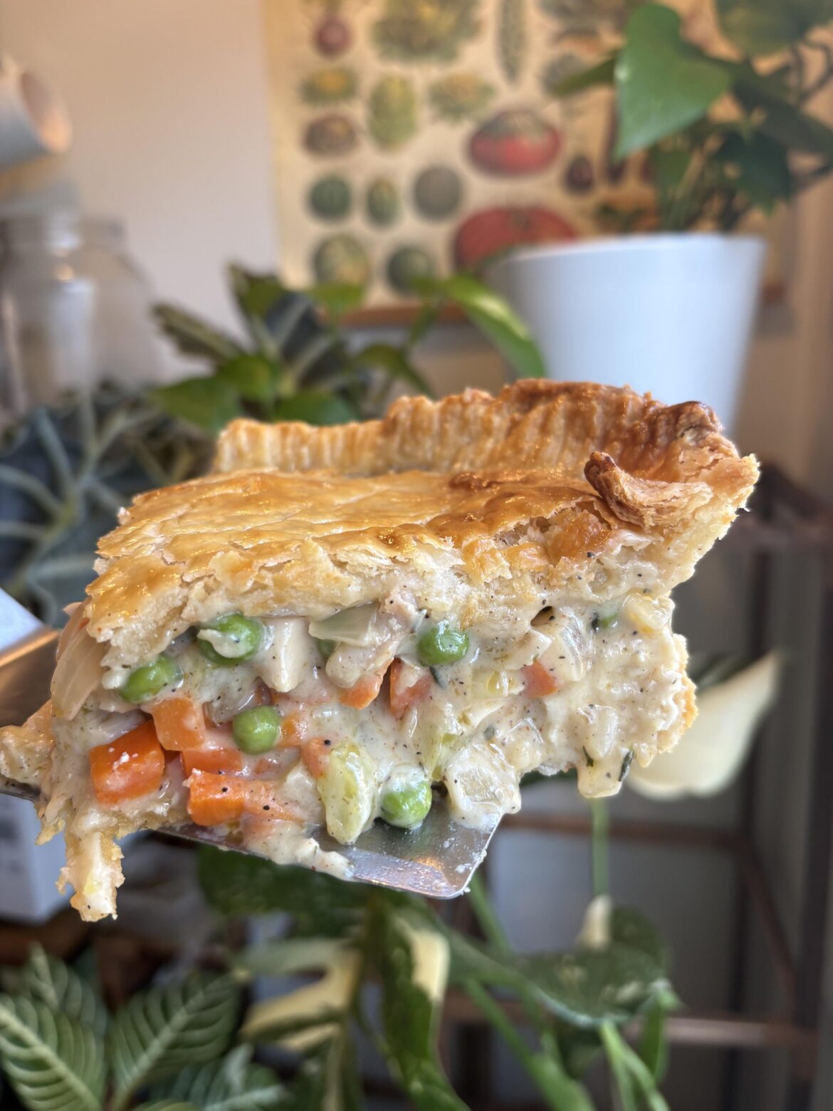 [homemade] chicken pot pie