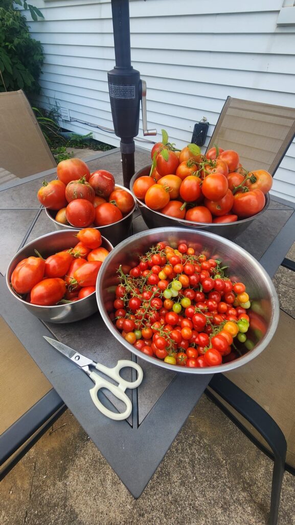 My parents have my work cut out for me.