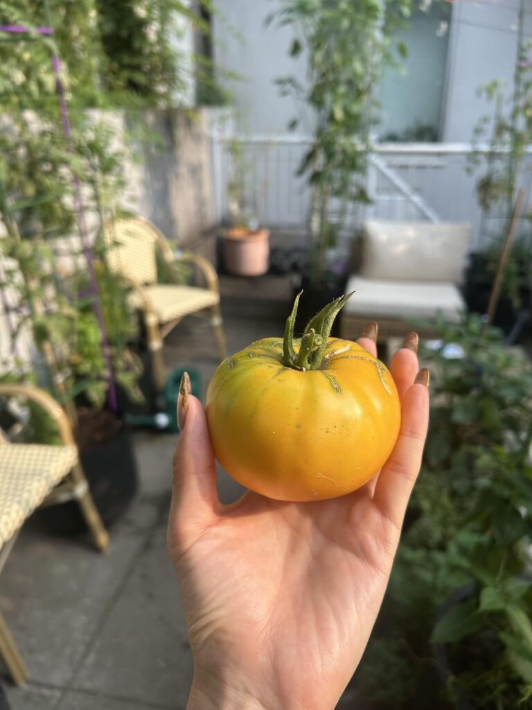 Clap for me (it’s my 1st year) Clap for me (it’s my 1st year)