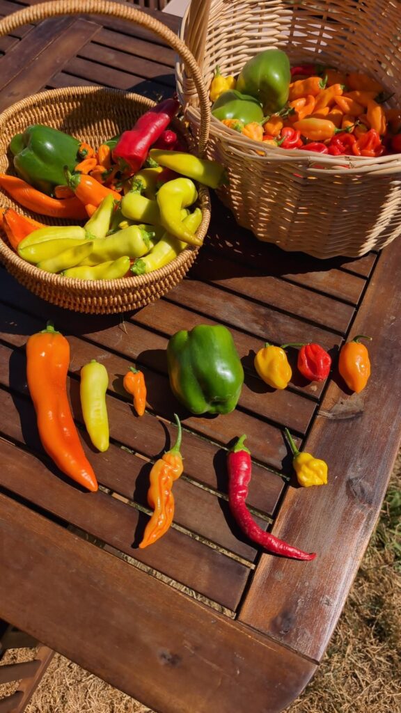 First Big Haul Of The Year