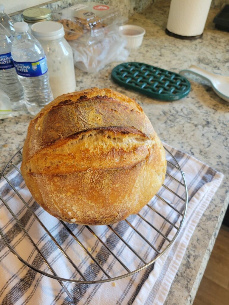 First Loaf. Suggestions?