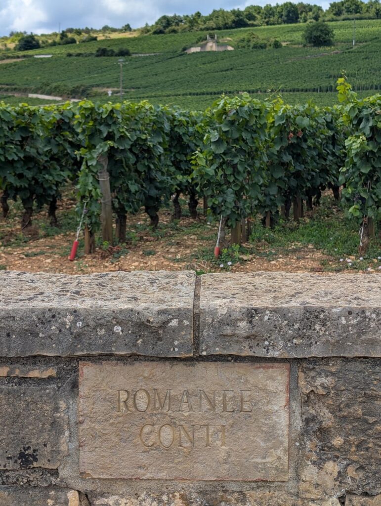 Had lunch under a tree near the pilgrimage site while bike riding through Bourgogne