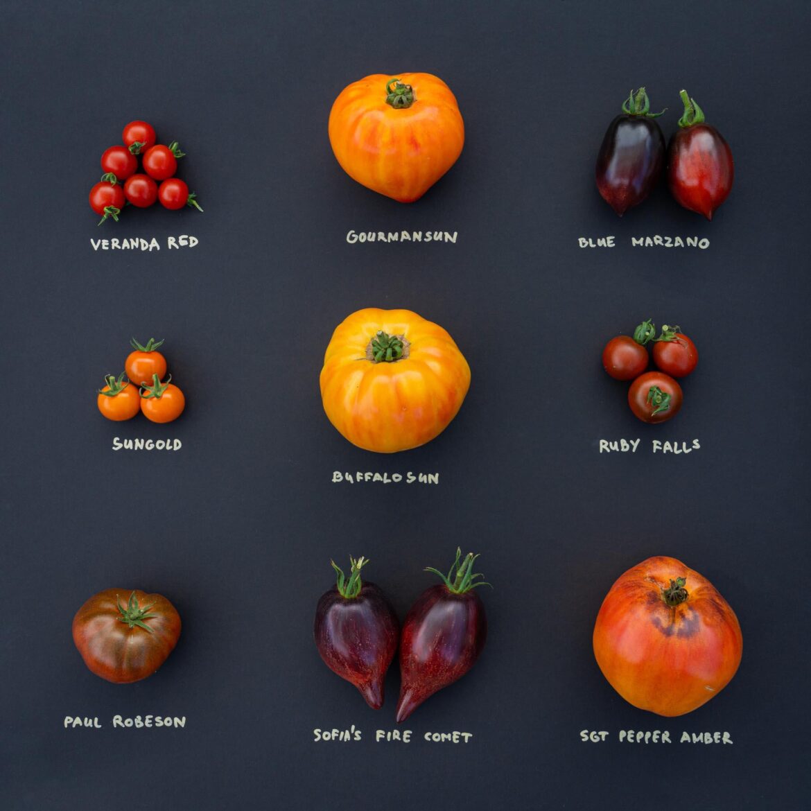 Now that they're all ripened, time for my yearly taste rating. Blue Marzanos took the longest to break.