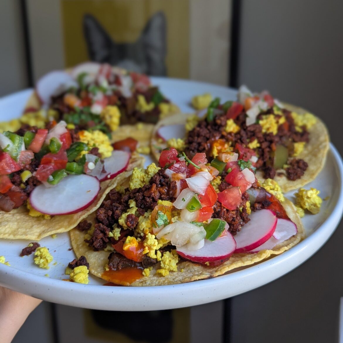 chorizo breakfast tacos.