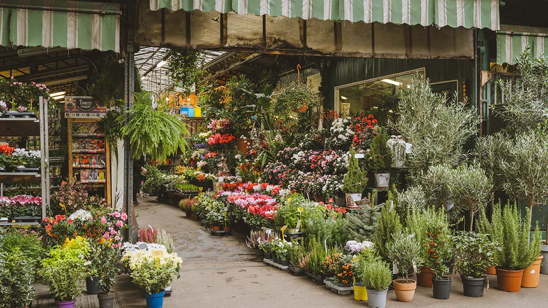 The Queen Elizabeth II flower market, located on Ile de la Cité in the heart of Paris. (©Joann Pai)