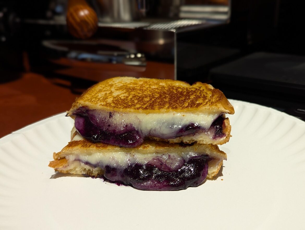 Havarti with blueberry compote on sourdough