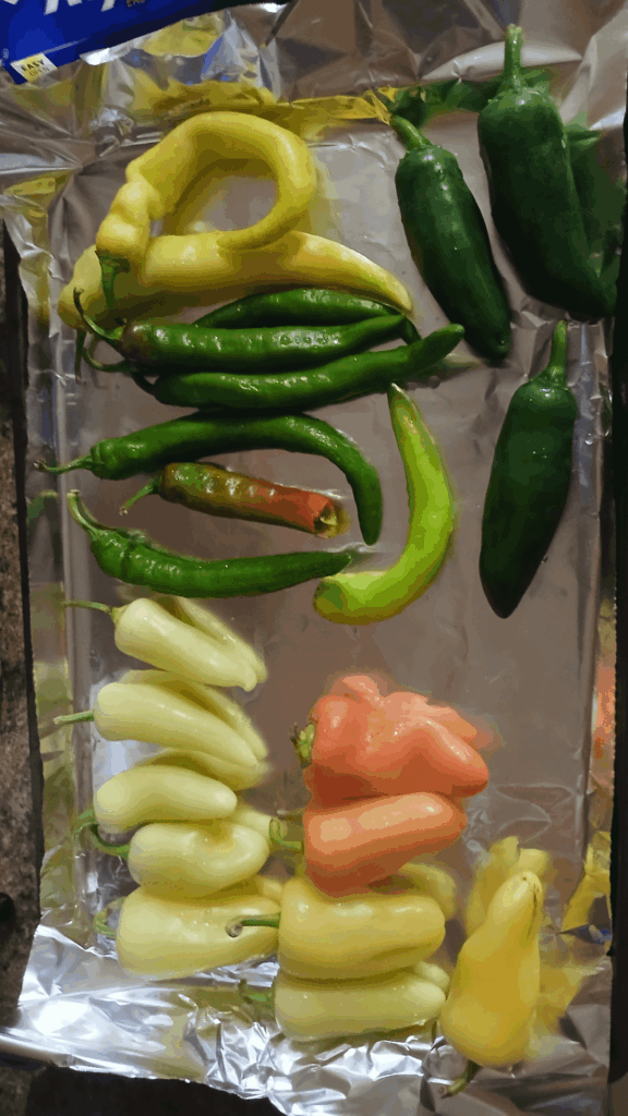 What kind of peppers have I been gifted?