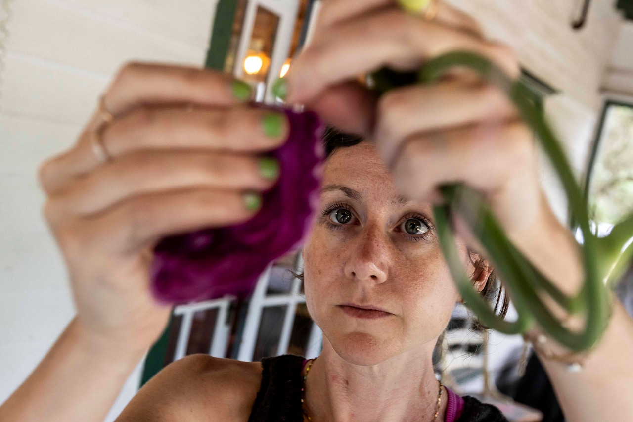 Taste of Ox-Bow event 2025