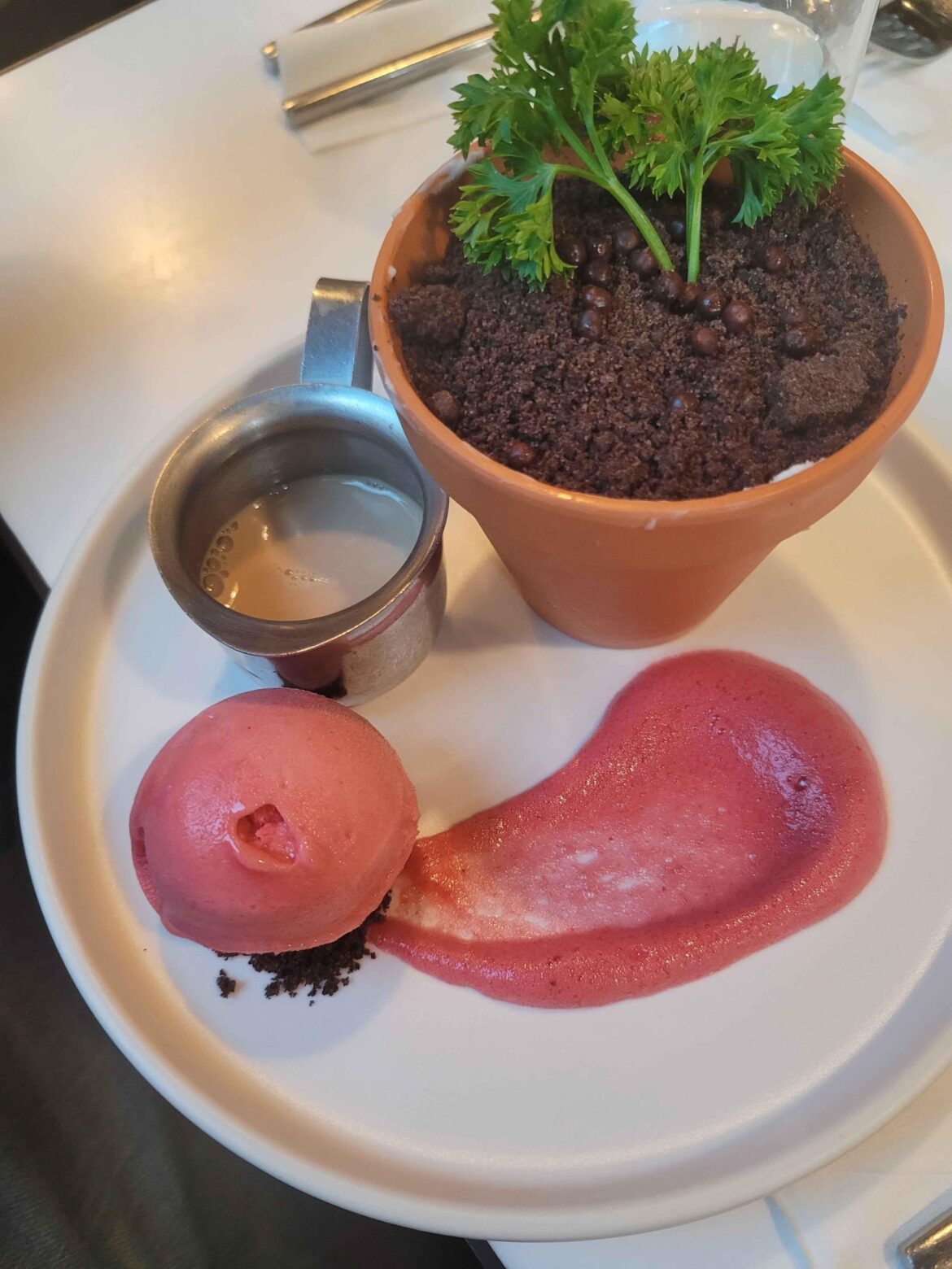 Hot Chocolate fudge plant for my late Bday party