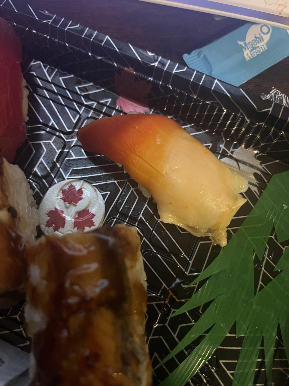 What type of fish is this?