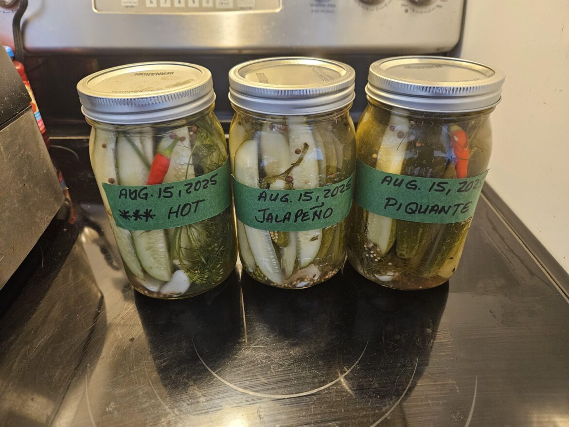 I made spicy pickles.