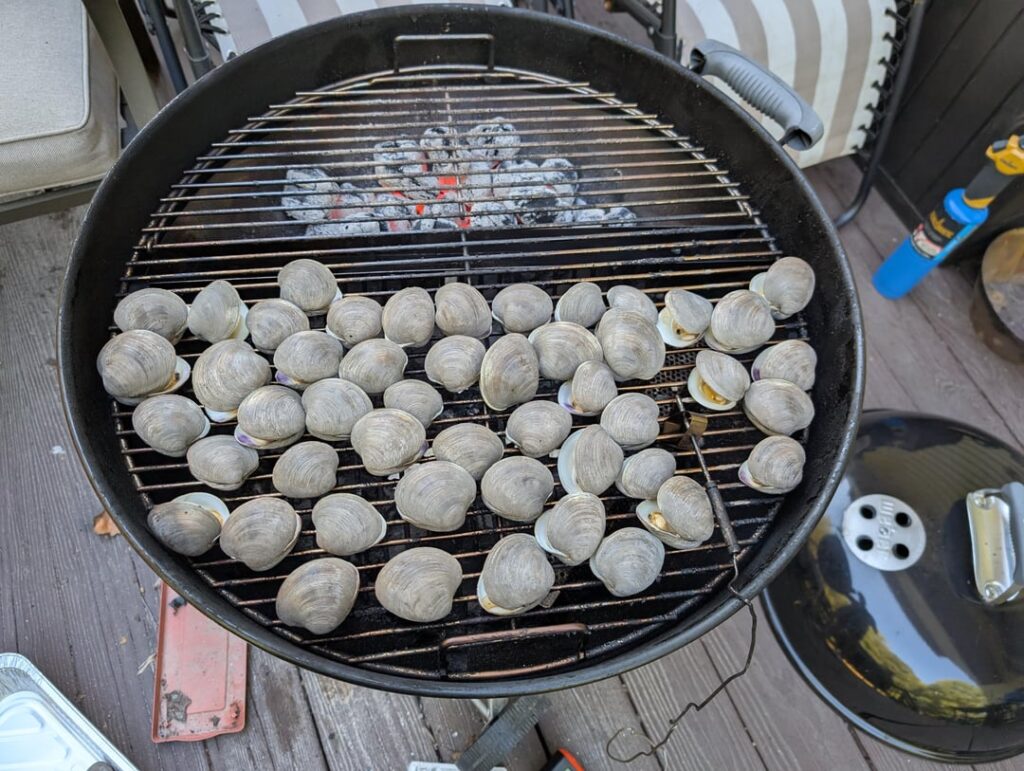 Connecticut - charcoal smoked clams