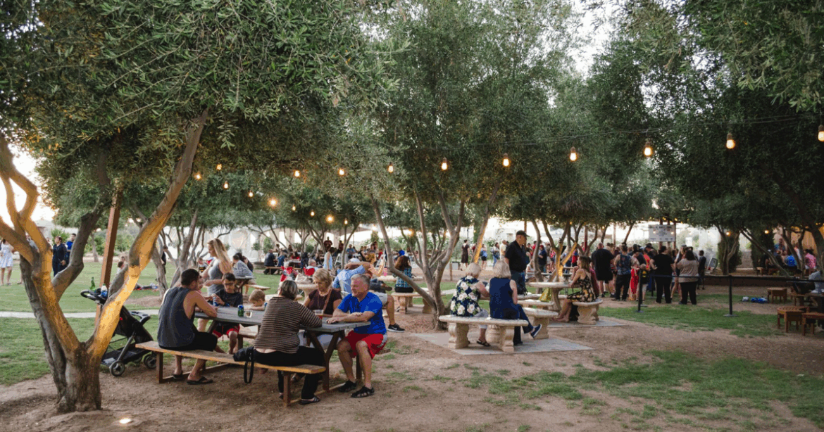 Queen Creek Olive Mill's Paint & Sip event details | Queen Creek