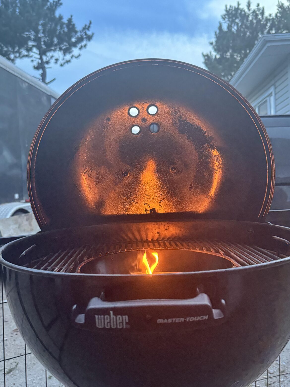 Give the dog a bone!