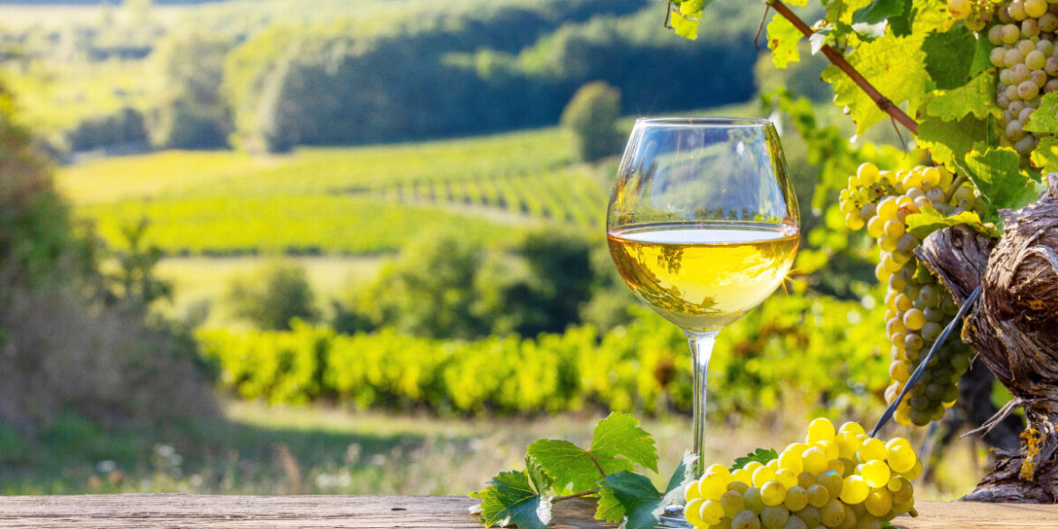 Discover the perfect French white wine pairings for your meals Discover the perfect French white wine pairings for your meals