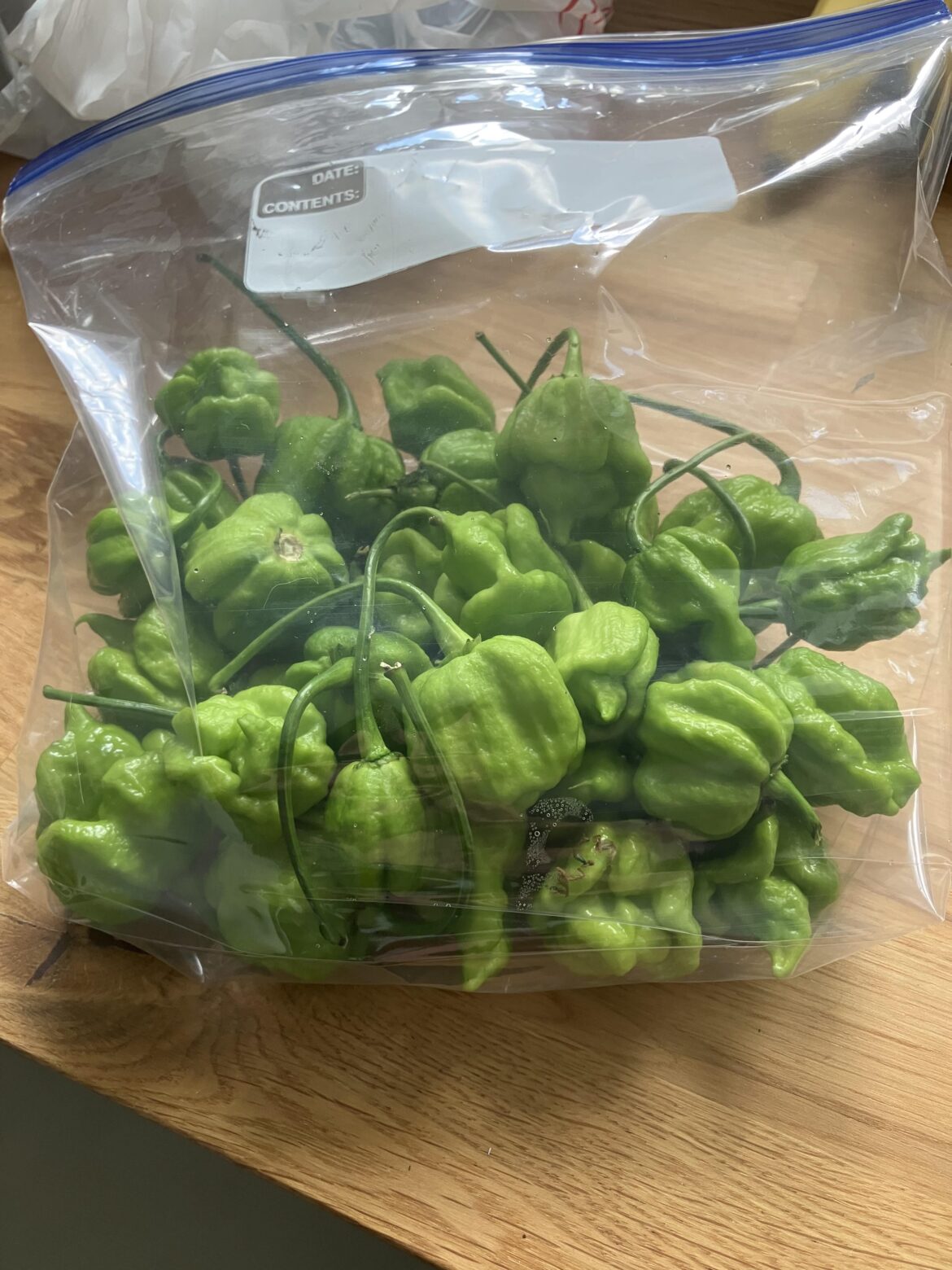 What the hell am I going to do with a bunch of unripe Trinidad moruga scorpions?