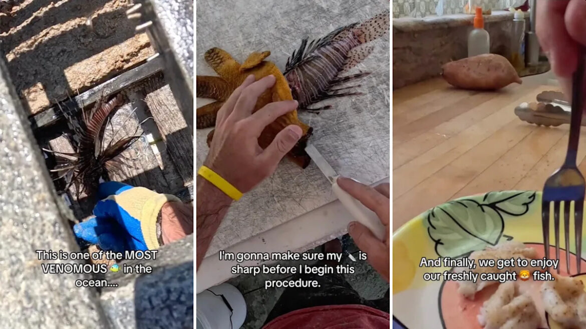 Yahoo lifestyle home